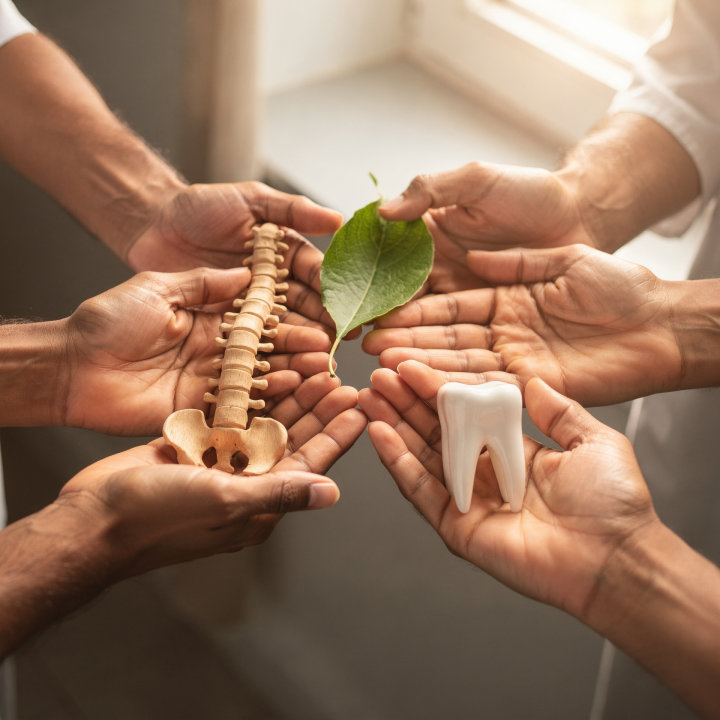 Vertrauensvolles Netzwerk für ganzheitliche medizinische Zusammenarbeit